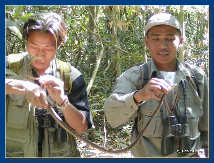 Khao Yai NP Jungle walk 20030117-18